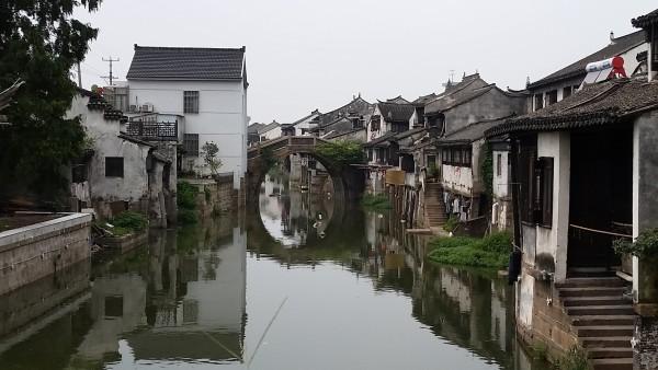 滚动的奶酪选关版